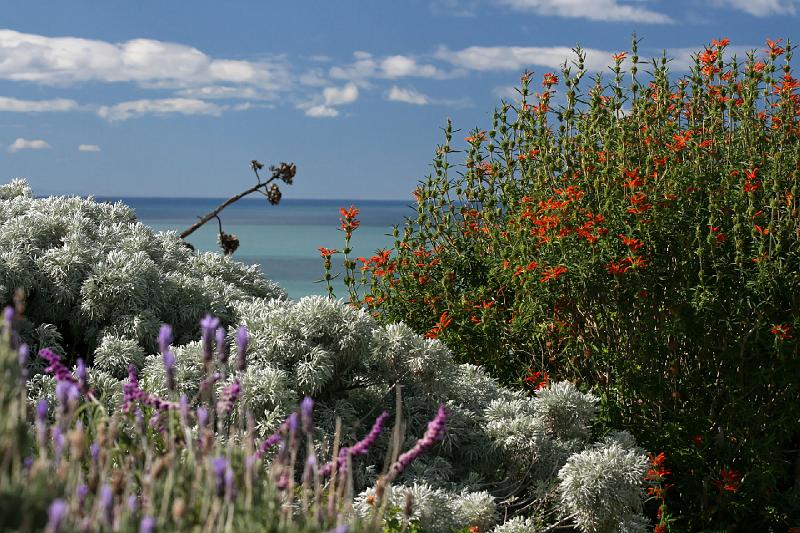 2007 04 14 Napier_Cape Kidnapper 135_DXO.jpg